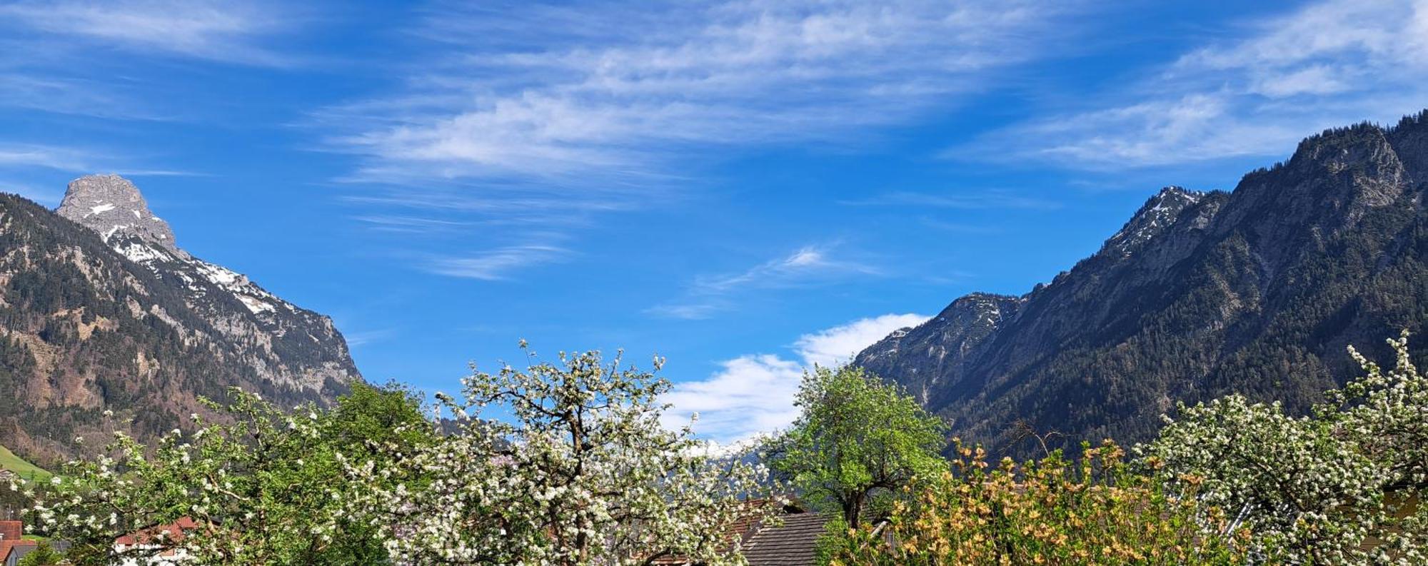 Baers Mountain Stay Ausserbraz Innerbraz Exterior photo